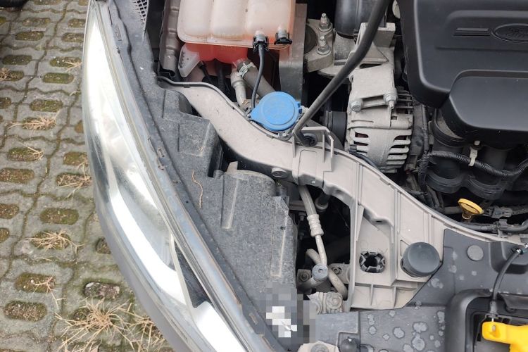 Used Ford Escort 2015 1.5L Automatic Fashion Model Engine Bay Right