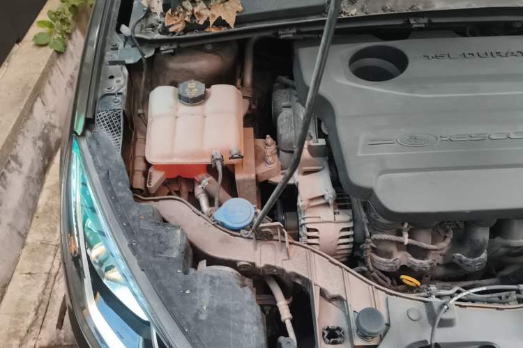 Used Ford Escort 2015 1.5L Manual Comfort Model Engine Bay Right
