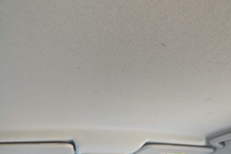 Used Ford Escort 2017 1.5L Automatic Comfort Model Headliner