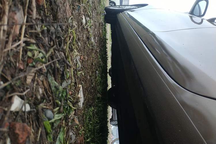 Used Ford Escort 2017 1.5L Automatic Comfort Model Left Side Sill