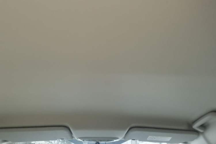 Used Ford Escort 2017 1.5L Automatic Comfort Model Headliner