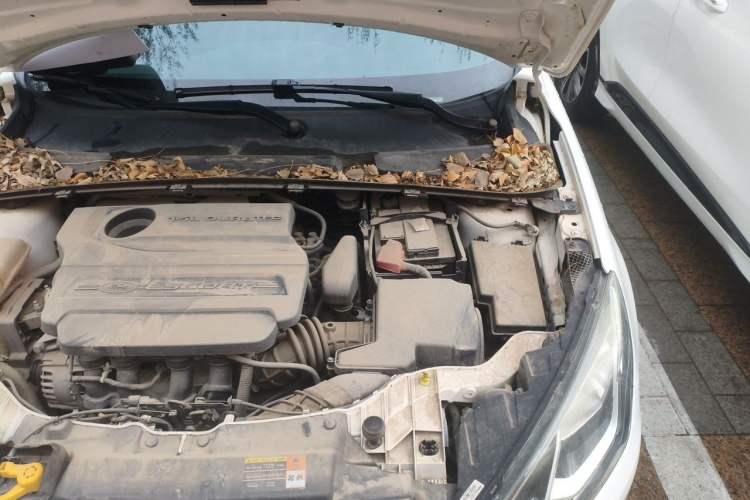 Used Ford Escort 2017 Happiness Edition 1.5L Automatic Fashion Version Engine Bay Left