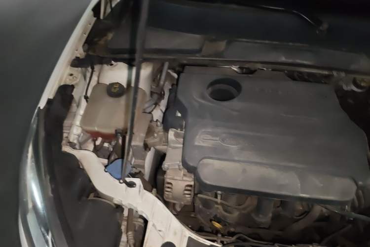 Used Ford Escort 2017 1.5L Manual Comfort Model Engine Bay Right