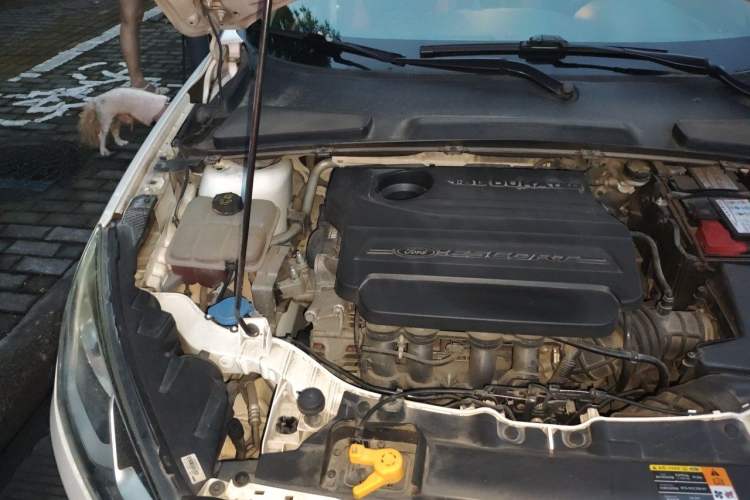 Used Ford Escort 2017 Revised Version 1.5L Manual Comfort Edition Engine Bay Right