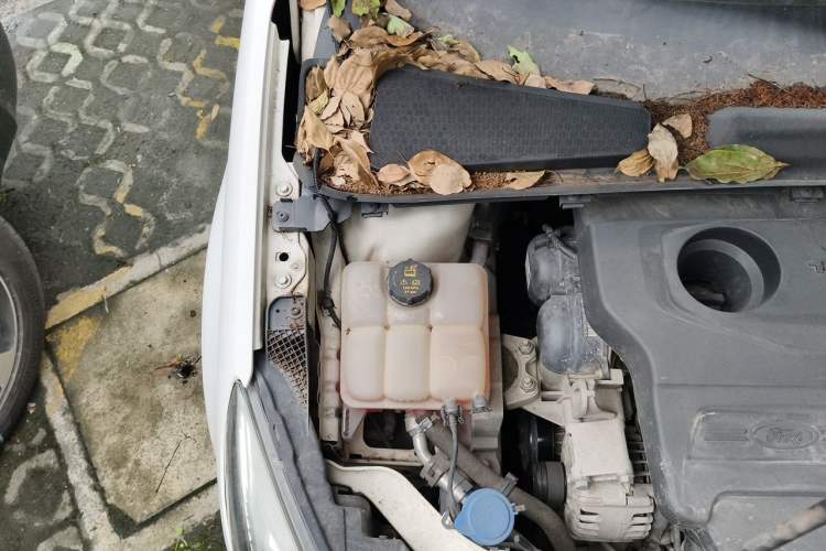 Used Ford Escort 2017 1.5L Automatic Comfort Model Engine Bay Right