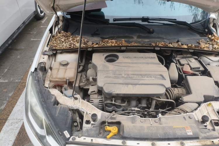 Used Ford Escort 2017 Happiness Edition 1.5L Automatic Fashion Version Engine Bay Right