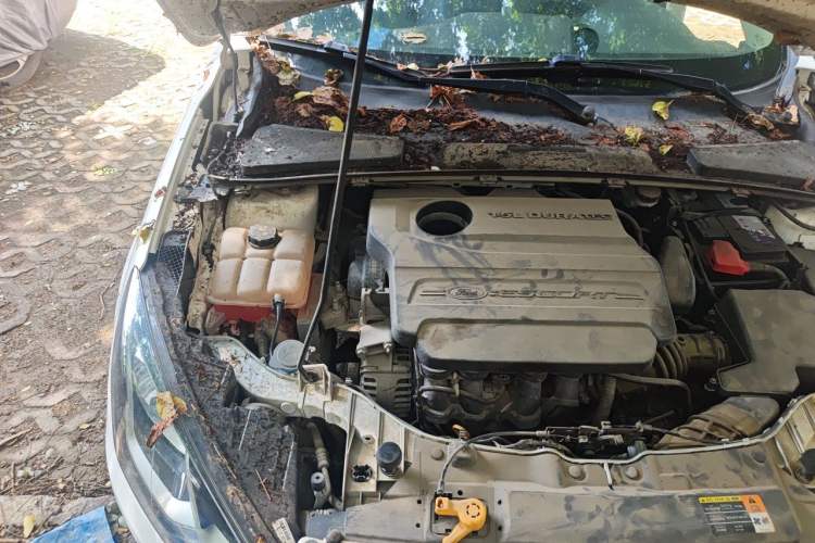 Used Ford Escort 2017 Revised Version 1.5L Automatic Comfort Edition Engine Bay Right