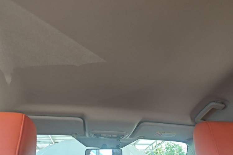 Used Ford Escort 2017 1.5L Automatic Comfort Model Headliner