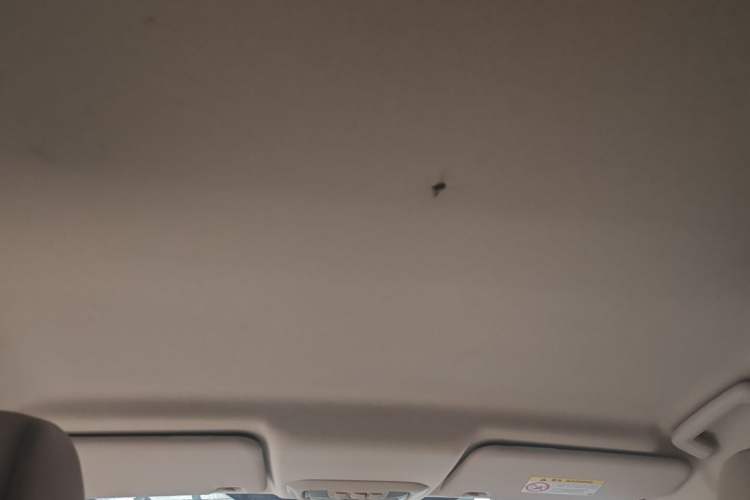 Used Ford Escort 2017 1.5L Automatic Comfort Model Headliner