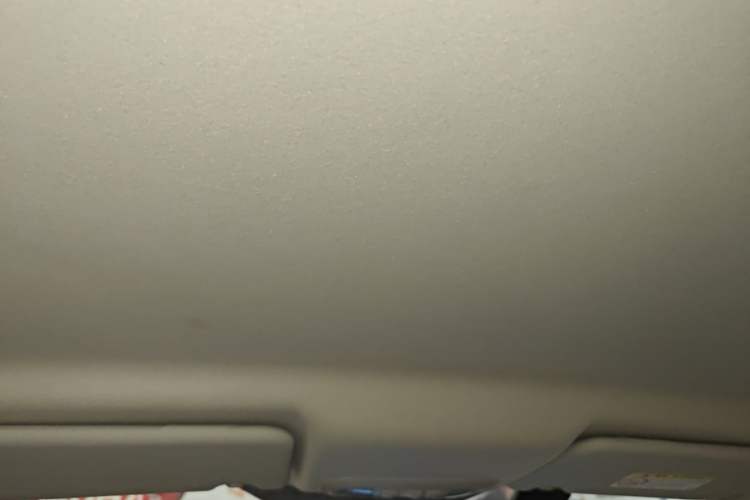 Used Ford Escort 2017 Revised Version 1.5L Automatic Comfort Edition Headliner