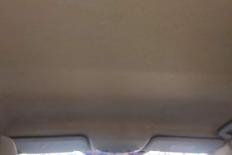 Used Ford Escort 2017 1.5L Automatic Comfort Model Headliner
