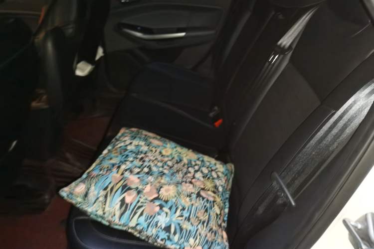 Used Ford Escort 2017 Happiness Edition 1.5L Automatic Fashion Version Left Rear Seat