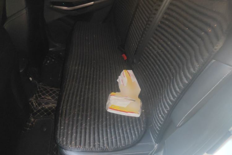 Used Ford Escort 2017 Happy Edition 1.5L Manual Fashion Model Left Rear Seat