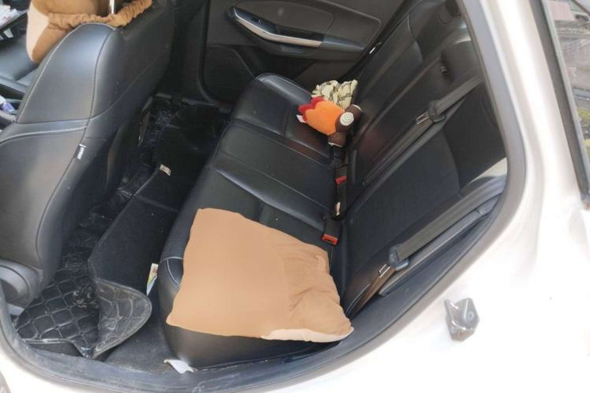 Used Ford Escort 2017 Happiness Edition 1.5L Automatic Fashion Version Left Rear Seat