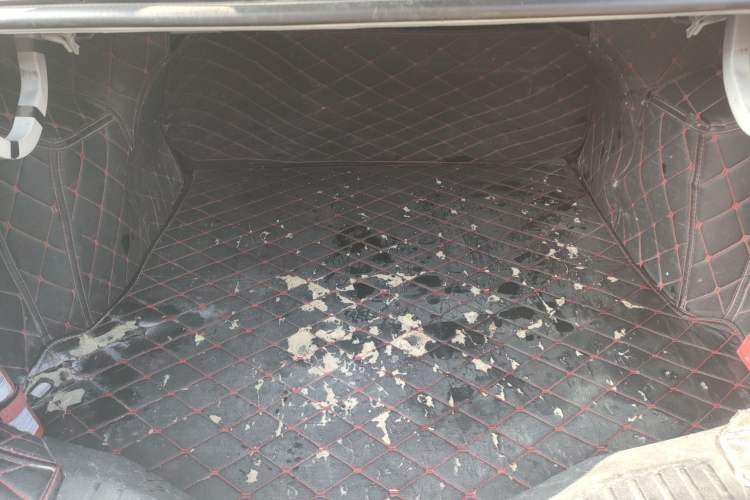 Used Ford Escort 2017 1.5L Manual Comfort Model Trunk