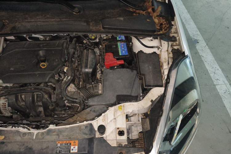 Used Ford Escort 2019 1.5L Automatic Enjoyment Model Engine Bay Left