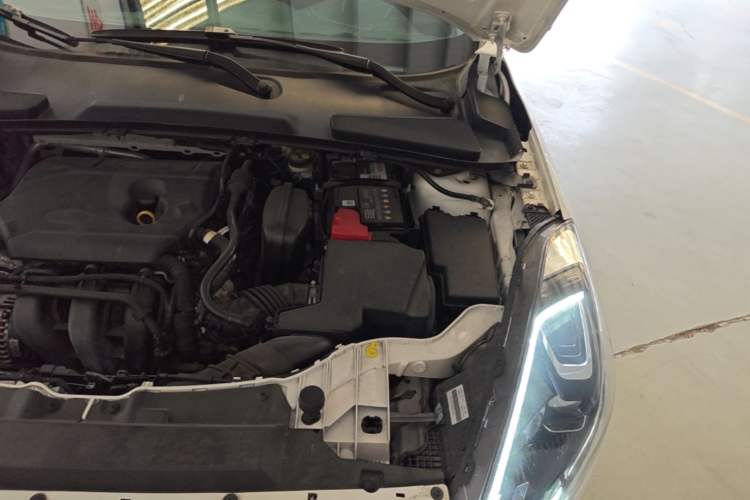 Used Ford Escort 2019 1.5L Automatic Enjoyment Model Engine Bay Left