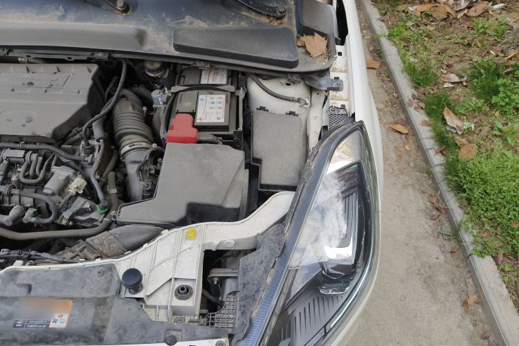 Used Ford Escort 2019 EcoBoost 125 Automatic Luxury Edition Engine Bay Left