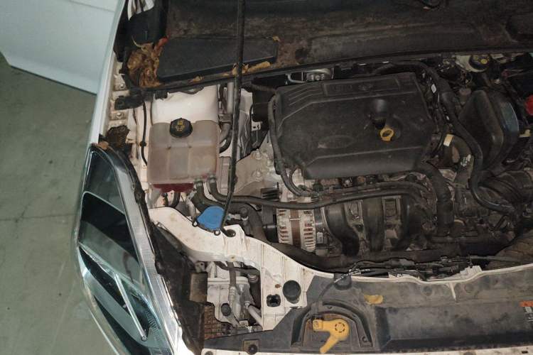 Used Ford Escort 2019 1.5L Automatic Enjoyment Model Engine Bay Right