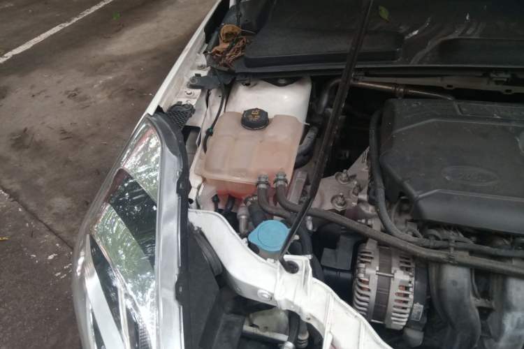 Used Ford Escort 2019 1.5L Automatic Enjoyment Model Engine Bay Right