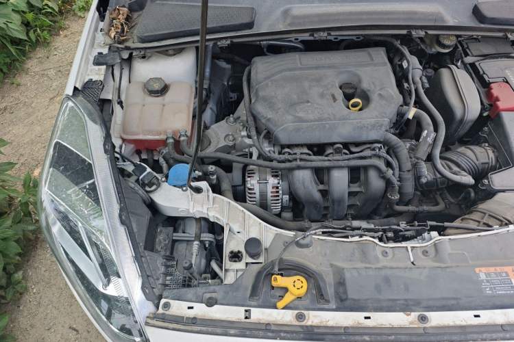 Used Ford Escort 2019 1.5L Automatic Enjoyment Model Engine Bay Right