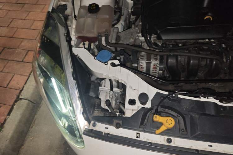 Used Ford Escort 2019 1.5L Automatic Enjoyment Model Engine Bay Right