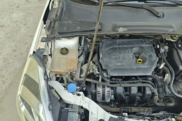 Used Ford Escort 2019 1.5L Automatic Enjoyment Model Engine Bay Right