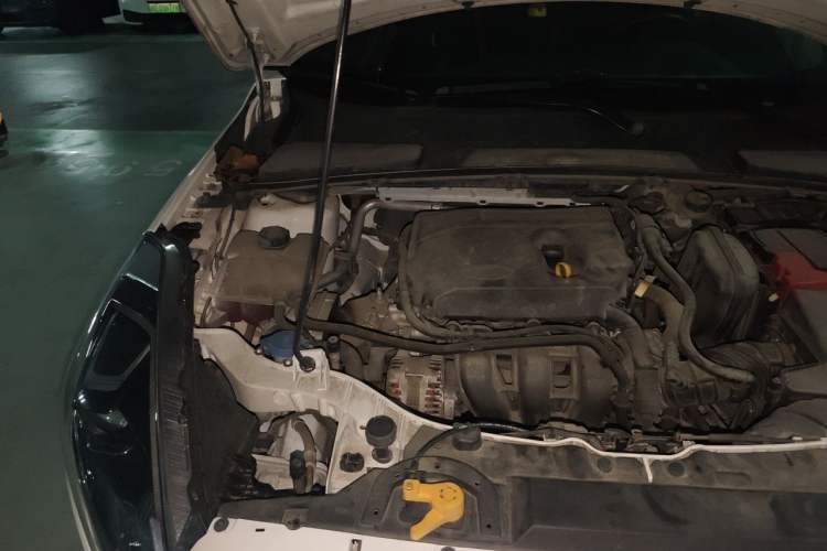 Used Ford Escort 2019 Revised Version 1.5L Automatic Enjoyment Type China VI Standard Engine Bay Right