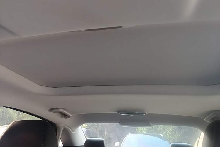 Used Ford Escort 2019 1.5L Automatic Enjoyment Model Headliner