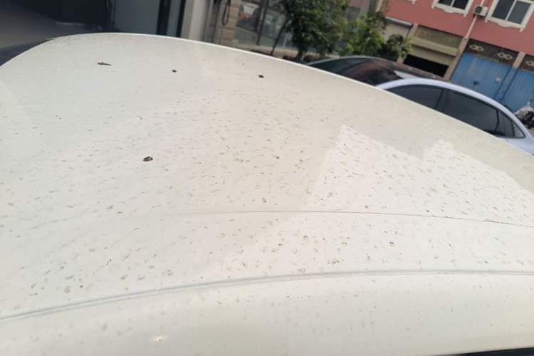 Used Ford Escort 2019 1.5L Automatic ZhiXiang Model Roof