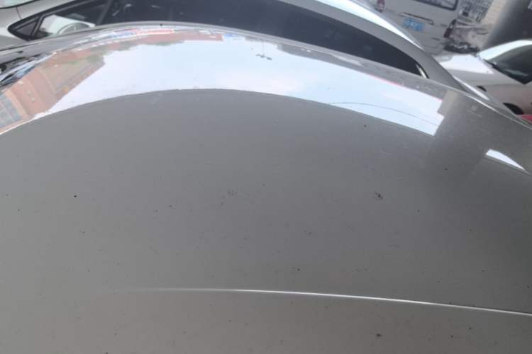 Used Ford Escort 2019 Revised 1.5L Automatic ZhiXiang Version (Tire Pressure Monitoring) China VI Standard Roof