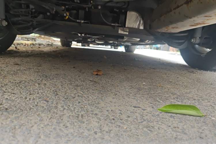 Used Ford Escort 2021 1.5L Automatic Diamond Edition Chassis Rear