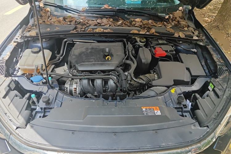 Used Ford Escort 2021 1.5L Automatic Diamond Edition Engine Bay