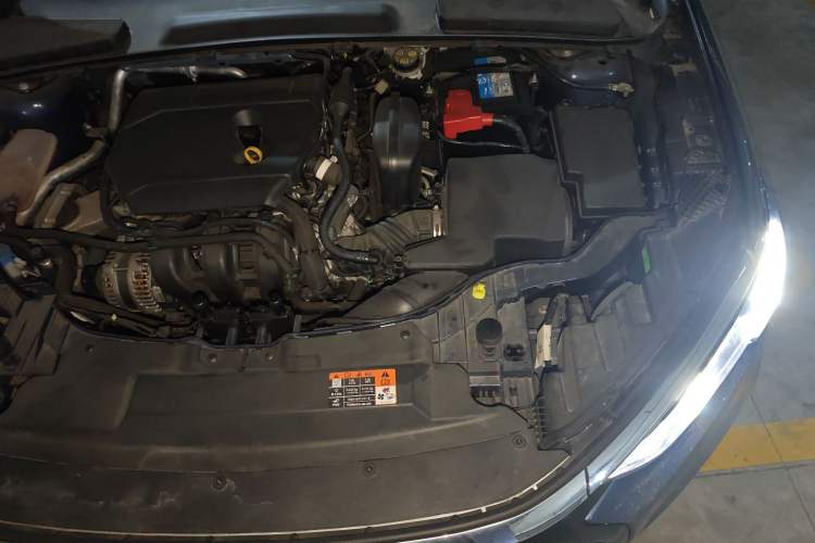 Used Ford Escort 2021 1.5L Automatic Diamond Edition Engine Bay Left