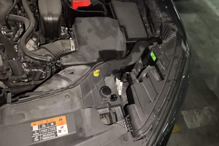 Used Ford Escort 2021 1.5L Automatic Diamond Edition Engine Bay Left