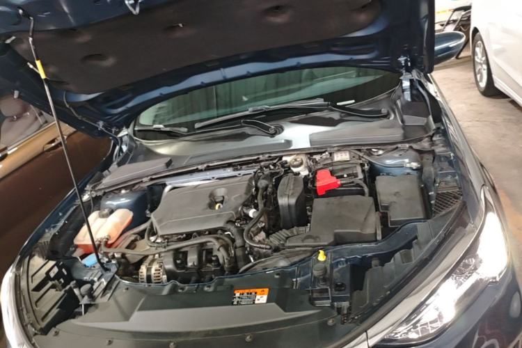 Used Ford Escort 2021 1.5L Automatic Gold Edition Engine Bay