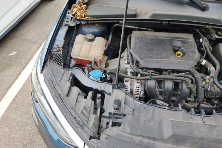 Used Ford Escort 2021 1.5L Automatic Gold Edition Engine Bay Right