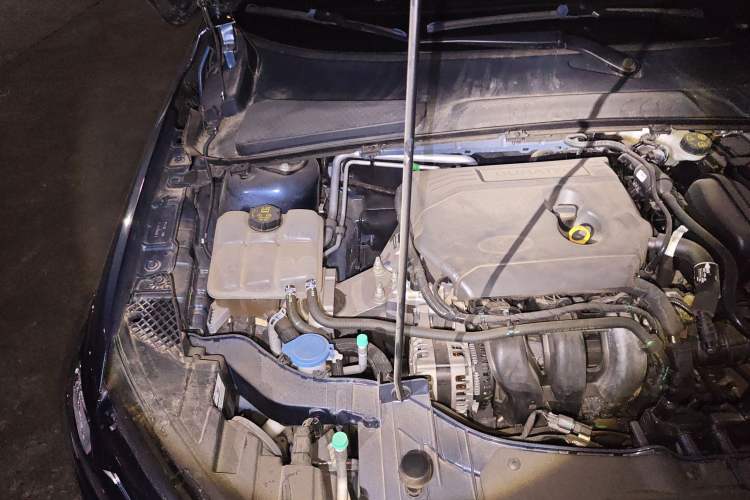 Used Ford Escort 2021 1.5L Automatic Diamond Edition Engine Bay Right
