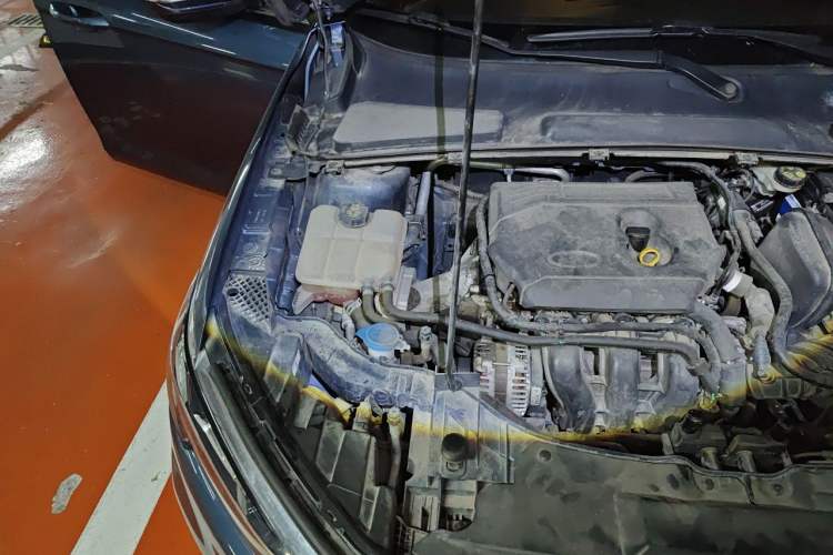 Used Ford Escort 2021 1.5L Automatic Diamond Edition Engine Bay Right