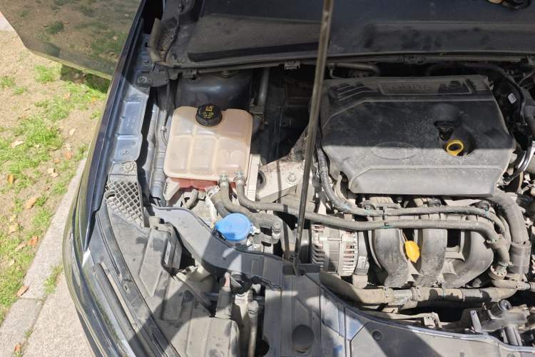 Used Ford Escort 2021 1.5L Automatic Platinum Edition Engine Bay Right