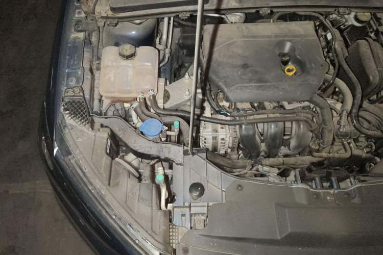 Used Ford Escort 2021 1.5L Automatic Diamond Edition Engine Bay Right