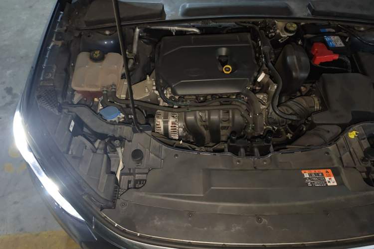 Used Ford Escort 2021 1.5L Automatic Diamond Edition Engine Bay Right