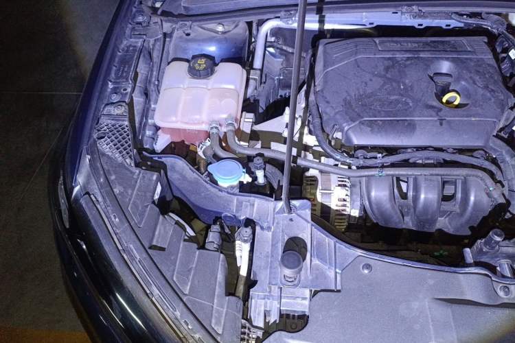 Used Ford Escort 2021 1.5L Automatic Platinum Edition Engine Bay Right