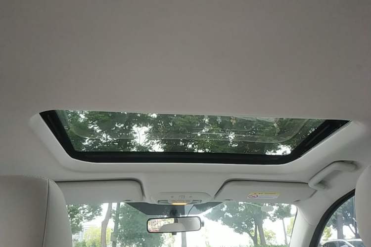 Used Ford Escort 2021 1.5L Automatic Diamond Edition Headliner