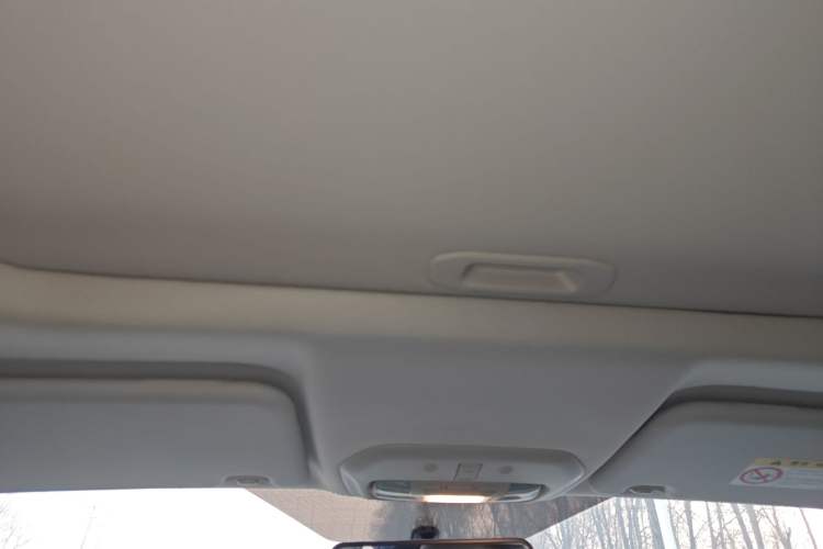 Used Ford Escort 2021 1.5L Automatic Diamond Edition Headliner
