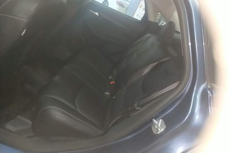 Used Ford Escort 2021 1.5L Automatic Diamond Edition Left Rear Seat