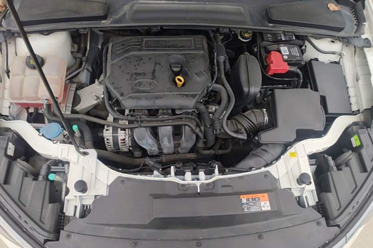 Used Ford Escort 2021 1.5L Automatic Diamond Edition Engine Bay