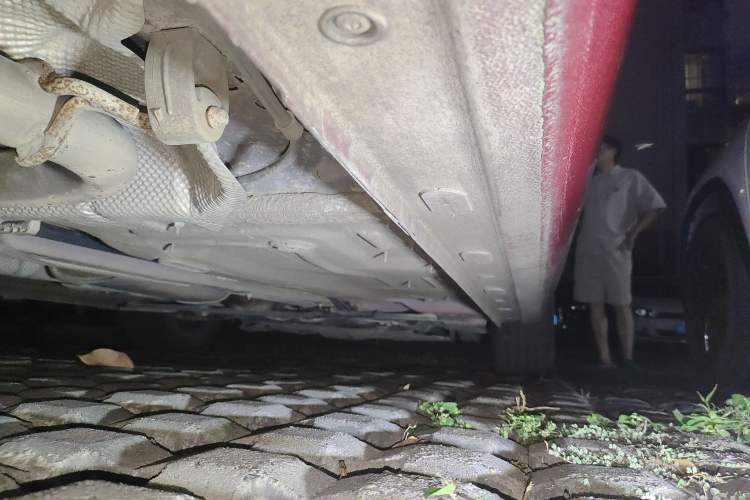 Used Ford Escort 2021 1.5L Automatic Platinum Edition Chassis Rear Right