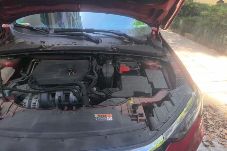 Used Ford Escort 2021 1.5L Automatic Diamond Edition Engine Bay Left
