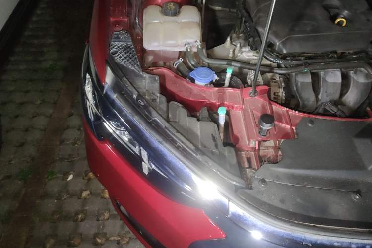 Used Ford Escort 2021 1.5L Automatic Platinum Edition Engine Bay Right
